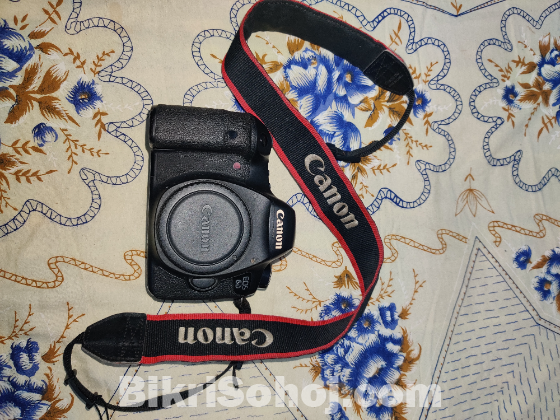 Canon 6D